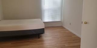 University Park Gallery 163