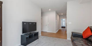 44504 WOLFHOUND Square Gallery 16