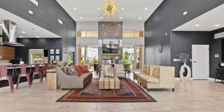 Kinsley Forest Gallery 13