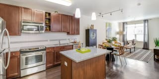 Windsor Riverfront Park Gallery 13