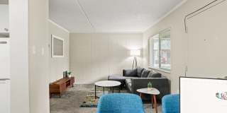 Bears Village Gallery 20