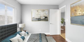 Carolina Village Gallery 29