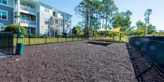 Headwaters at Autumn Hall Gallery 48