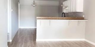 6605 Spring Lark Drive Gallery 1