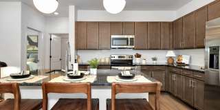 Livano at Town Madison Gallery 2