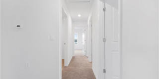 4083 San Felice Ln Gallery 22