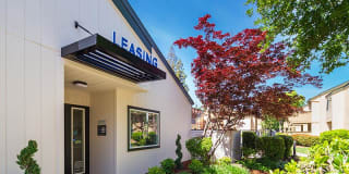 Juniper Apartments Gallery 13