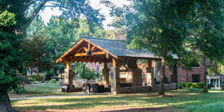 Cameron Court & Shelton Gallery 21