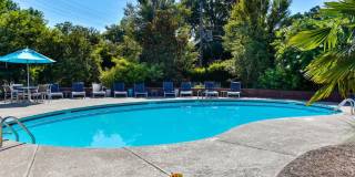 Vyne On Central Gallery 5