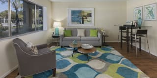 Cameron Cove Gallery 3