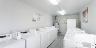 BV Gallery 6