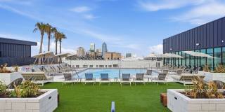 RISE Doro Gallery 44