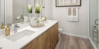 Deseo Grande Gallery 10