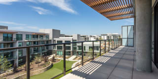 The Village Drey Gallery 33