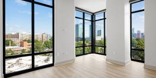 The Campbell Gallery 29