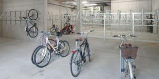 Boathouse Gallery 14