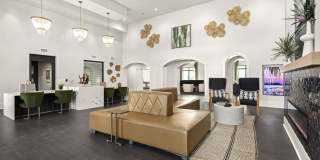 Indigo Stuart Gallery 9