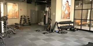 824 N Calvert Gallery 101