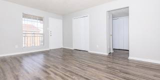 Marine Park Gallery 75