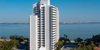 4141 Bayshore Blvd Apt 1204 Gallery 2