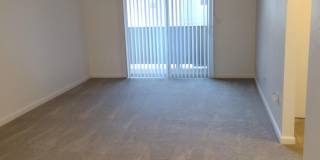 Chelan Gallery 21