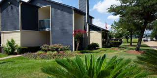 Buena Vista Gallery 6