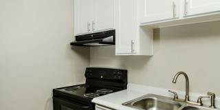 Surfcaster Gallery 16