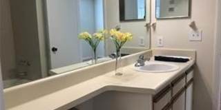4421 W Mcnab Road Gallery 10