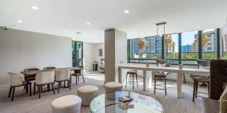 Aster Aster Gallery 10