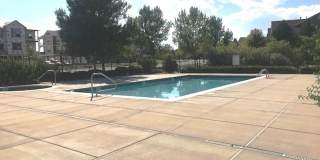 4605 Hahns Peak Drive #202 Gallery 1
