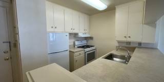 The Executive House Gallery 13