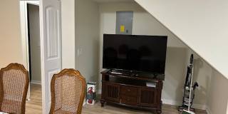 Living the Life! Gallery 6