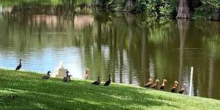 12406 WEATHERSTONE Row Gallery 1