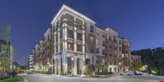 Gateway Chastain Gallery 72