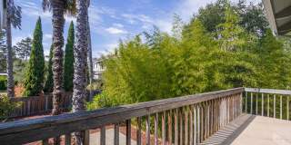 Upper Westside Santa Cruz Gallery 1