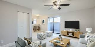 Rise Skyview Gallery 68