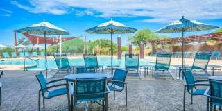 True Gem Located in Fireside at Desert Ridge!!!  Fully Furnished, close to Mayo North campus!!!  Community Pool, Fitness, Club House of Desert Ridge!!!  Upgraded, large lot, Ready for you!!! Gallery 102