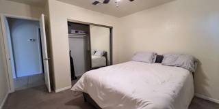 3 Br 2Ba House with Garage and fenced yard**FURNISHED** Gallery 15