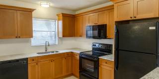 Dunes of Boca Gallery 49