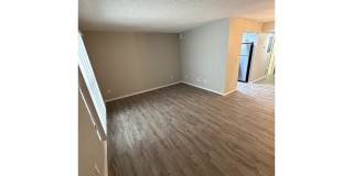 Bellevue Towers Gallery 63