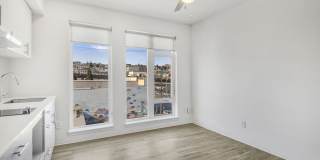 Koz at the Dome Gallery 24