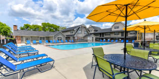 The Lory of Savannah Gallery 8