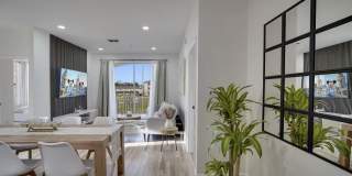 8103 COCONUT PALM Way Gallery 5