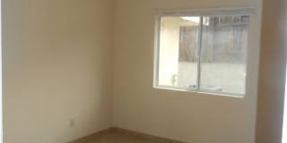 Available NOW! Gallery 1