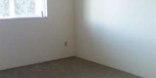 Linden Apartments Gallery 10
