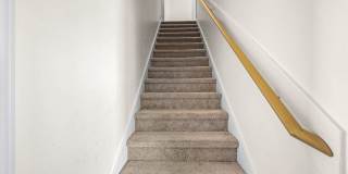 227 Lookout Lane | 4BR/2.5BA | Fenced Turf Backyard Gallery 22