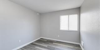 Aspen Flatz Gallery 8