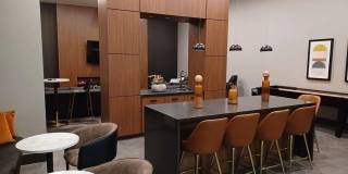 Degree of Honor Gallery 13