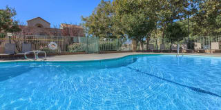 The Terrace Apartments Gallery 9