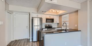 Rise on Cactus Gallery 1